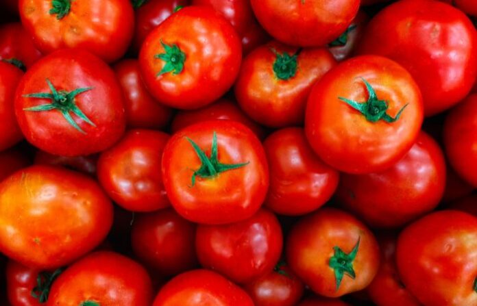 tomato