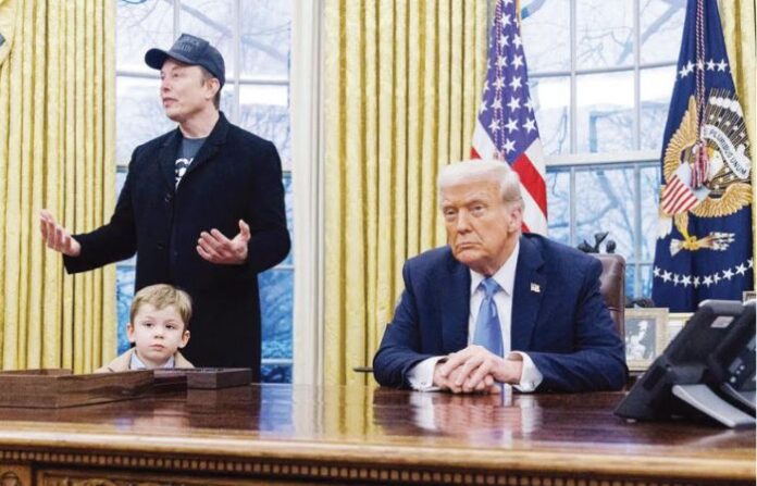 trump and musk