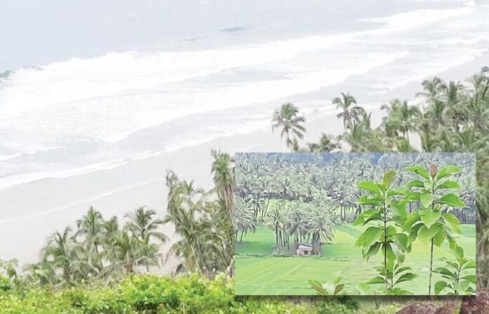 mumbai to goa