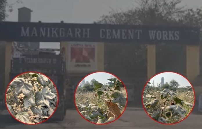 Manikgarh cement works