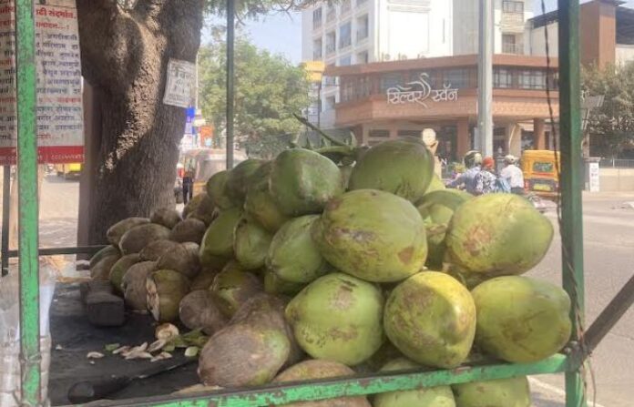 coconut