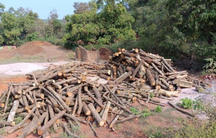 deforestation deforestation