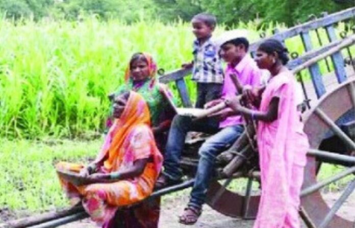 farm labour