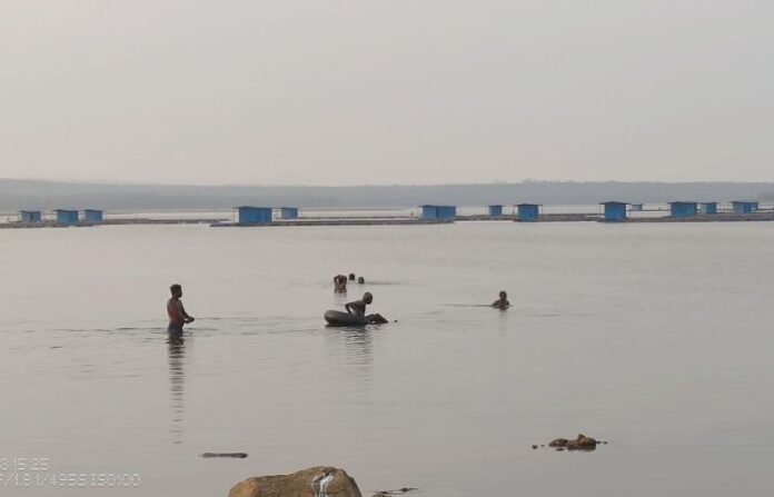 ghodazari lake chandrapur (1)