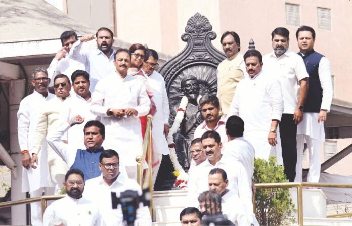 mva mlas