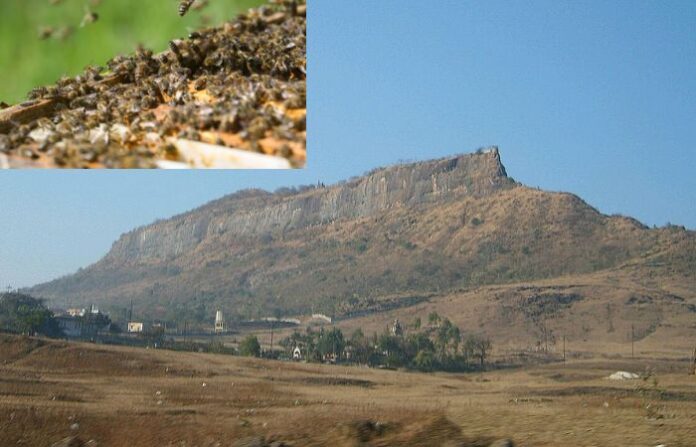 shivneri fort