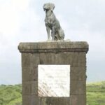 वाघ्या कुत्र्याची रायगडावरील समाधी 31 मेपर्यंत हटवा, संभाजी राजेंची मागणी