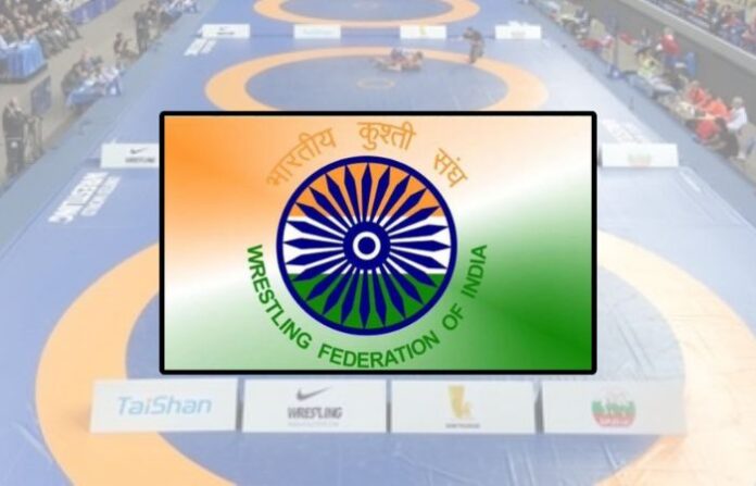 wrestling federation of india