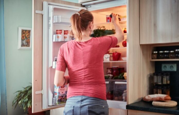 Fridge (3)