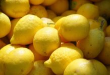 फ्रिजमध्ये ठेवलेले लिंबू लवकर सुकतात? या सोप्या टिप्स वापरा