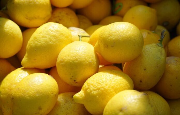 Lime (3)
