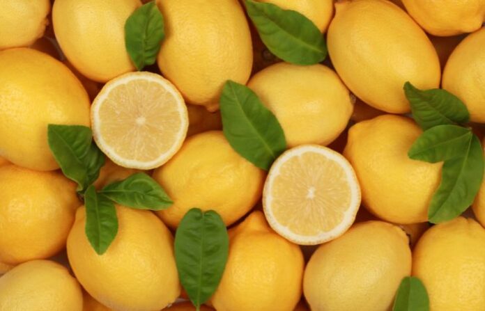 Lime (5)