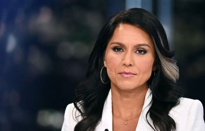 tulsi gabbard