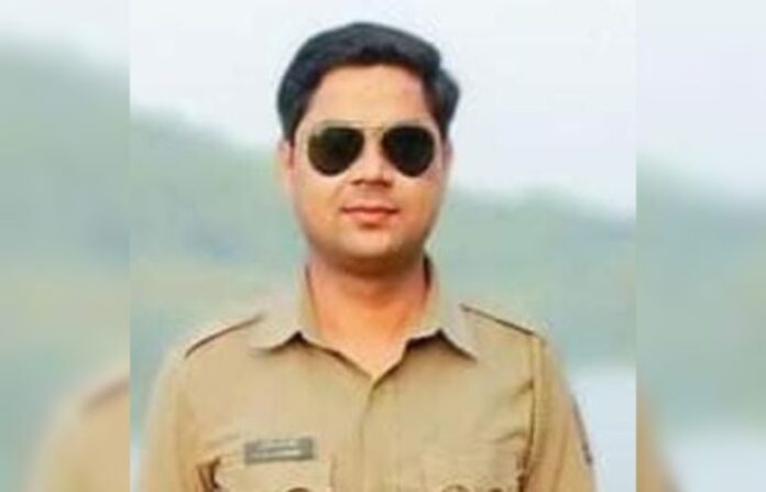 Anil