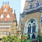 हायकोर्टाचा मुंबई विद्यापीठाला दणका, 20 कर्मचाऱ्यांची सेवा होणार कायम; औद्योगिक न्यायालयाच्या निर्णयावर शिक्कामोर्तब