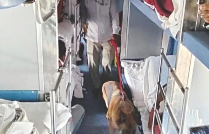 Kamayani Express