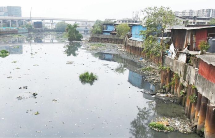 Kurla Mithi River