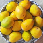 पाडव्याला आंब्याचा मुहूर्त हुकणार; बाजारात हापूसचा तुटवडा, उत्पादनात 60 ते 70 टक्क्यांनी घट