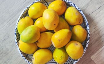 पाडव्याला आंब्याचा मुहूर्त हुकणार; बाजारात हापूसचा तुटवडा, उत्पादनात 60 ते 70 टक्क्यांनी घट