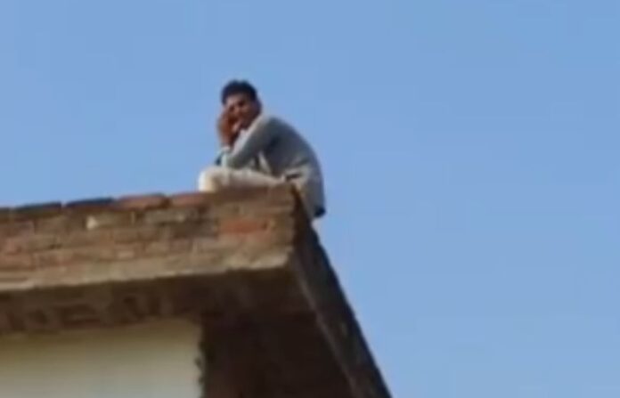 UP News