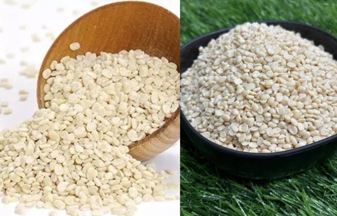 Urad Dal (1)