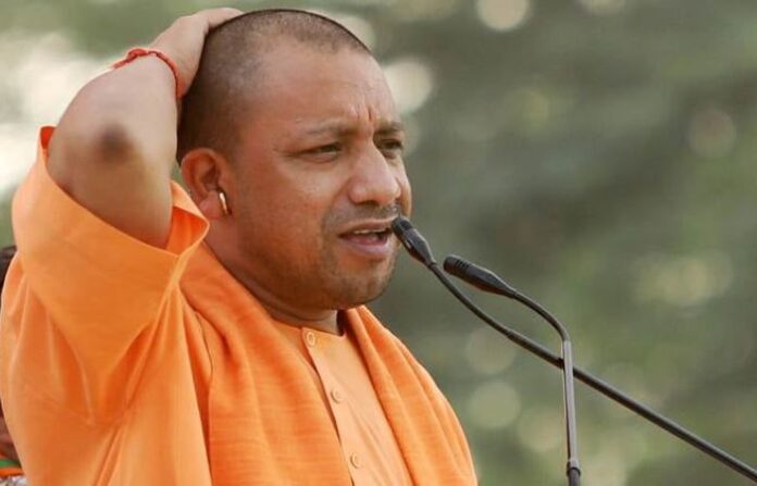 Yogi