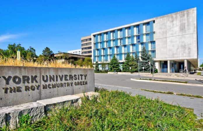 York University