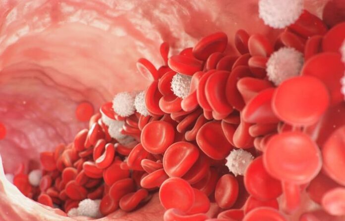 _blood cells