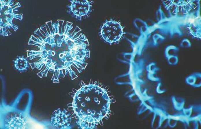 coronavirus