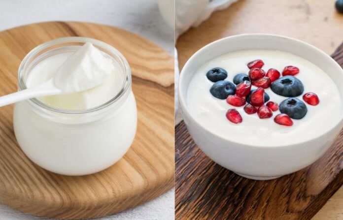 curd and yogurd