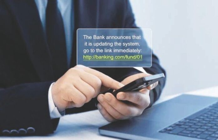 cyber fraud