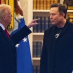 हनीमून संपला! डोनाल्ड ट्रम्प-एलॉन मस्क जोडी फुटली, टेस्लाच्या सीईओंनी अमेरिकेच्या राष्ट्राध्यक्षांची साथ सोडली