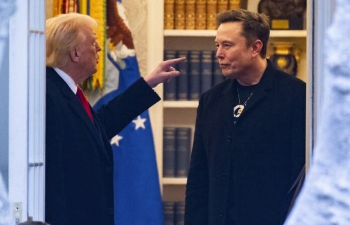 elon musk donald trump