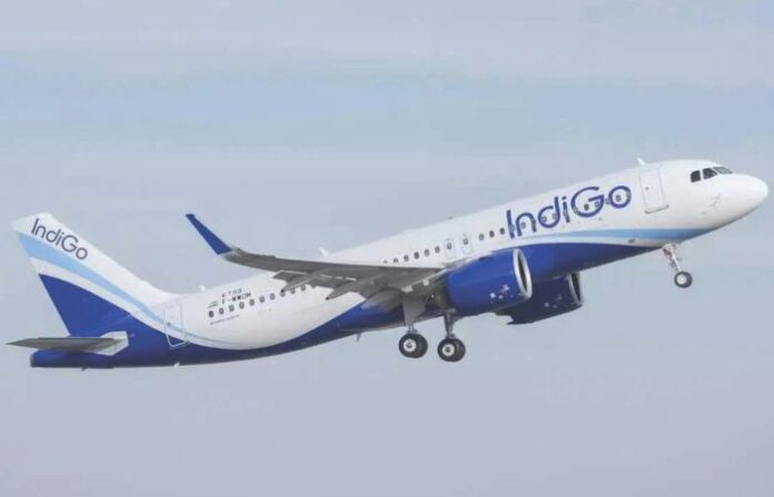 indigo