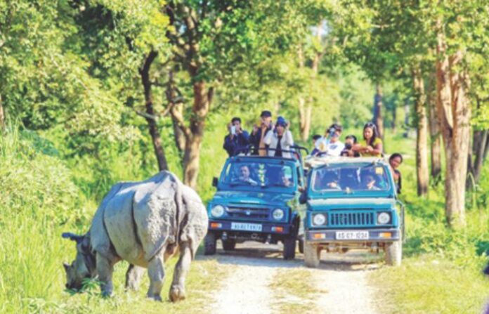 kaziranga