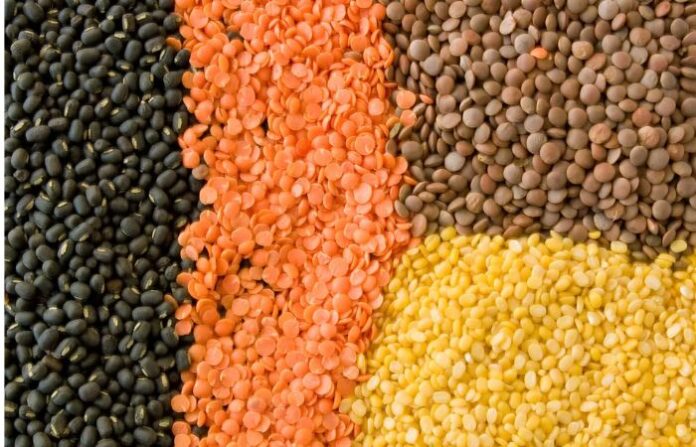 lentils