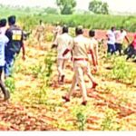 आईच्या कुशीतून बाळाला बिबट्याने पळविले, दौंड तालुक्यातील घटनाः मेंढपाळ दाम्पत्यावर दुःखाचा डोंगर