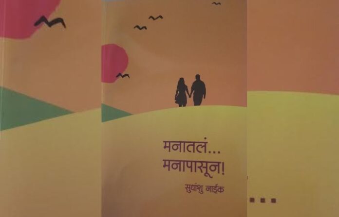 naik book cover