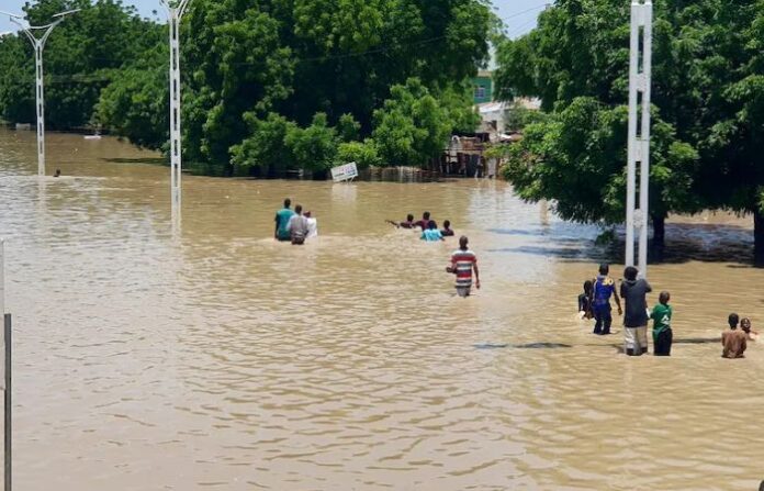 nigeria flood (1)