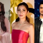 पाकिस्तानी कलाकारांचे Instagram Account हिंदुस्थानात बॅन, पहलगाम हल्ल्यानंतर सरकारचा निर्णय