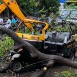 रिक्षावर झाड कोसळल्याने ज्येष्ठ महिलेचा मृत्यू, पेशवे पार्क परिसरातील घटना