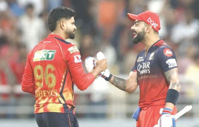 rcb punjab