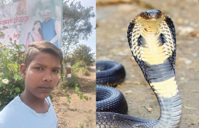 snake bite