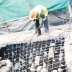 the-municipality-demolished-five-multi-storey-buildings-in-vesawe