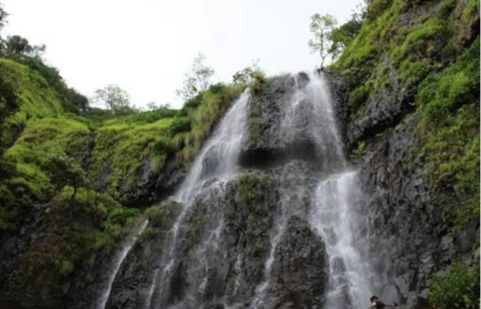 Amboli