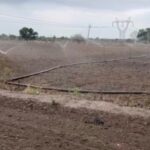 Chandrapur No Rain