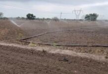 Chandrapur No Rain