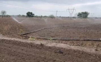 Chandrapur No Rain