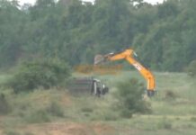 बेकायदा उपसा केलेली रेती कांदळवनाच्या जागेत लपवली, महसूल विभागाने साठा पुन्हा खाडीत लोटला