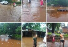 Heavy Rain Causes Floods and Landslides in Sangameshwar Taluka; Markets Submerged, Roads Blocked